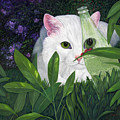Ladybugs and Cat